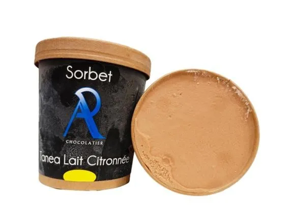 Vente de glaces et sorbets, Saint-Galmier, Chocolaterie Anthony Pailleux