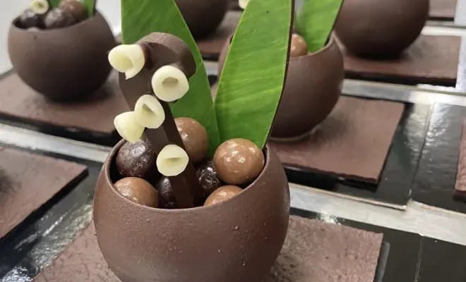 Votre chocolaterie est exceptionnellement ouverte ce 1er mai, Saint-Galmier, Anthony Pailleux, Maître Chocolatier 